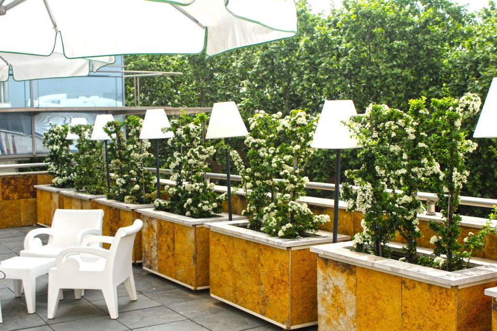 La terraza del restaurante La Pirámide