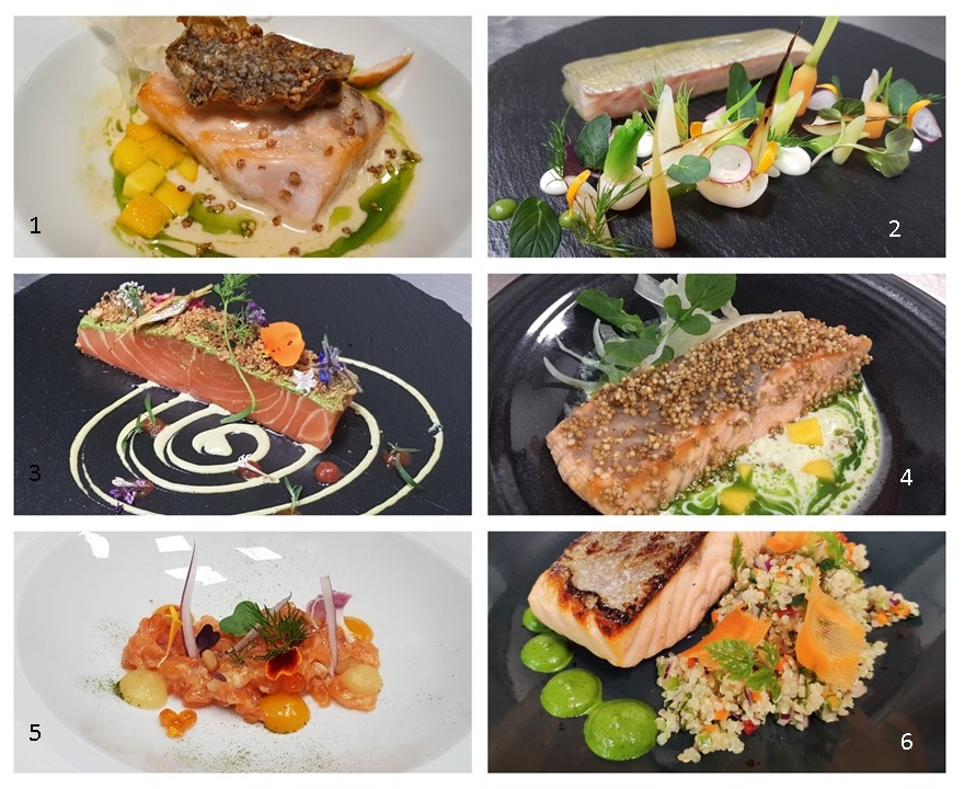 Salmón diferentes platos (1)